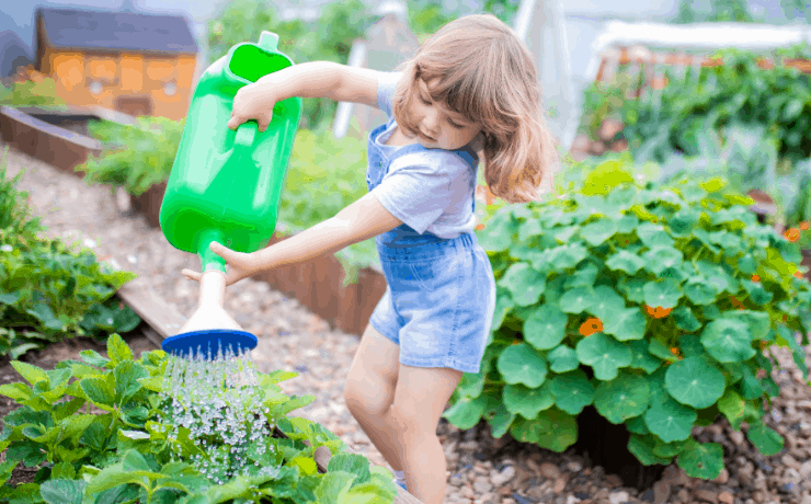 Growing Plants for Kids tips