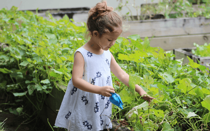 Gardening with young kids