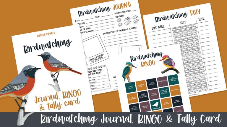 Birdwatching for Kids + Free Bird Watching Activities Printables ...